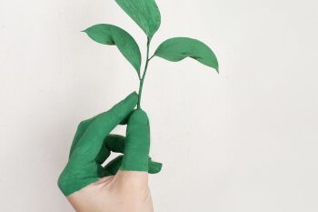 eco-3