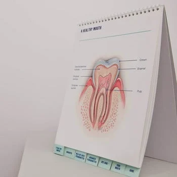 tooth-diagram350