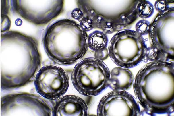 bubbles bubbles